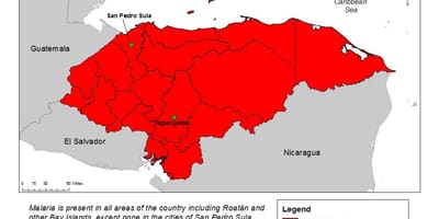Kart Honduras ilə malyariya